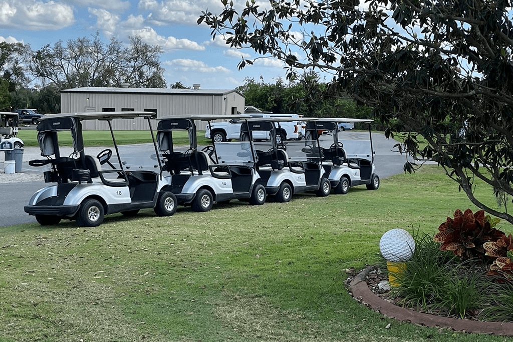 Row of golf carts